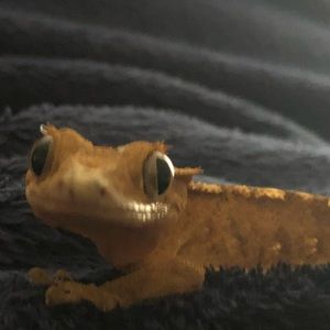 Meet your Posher, Haley